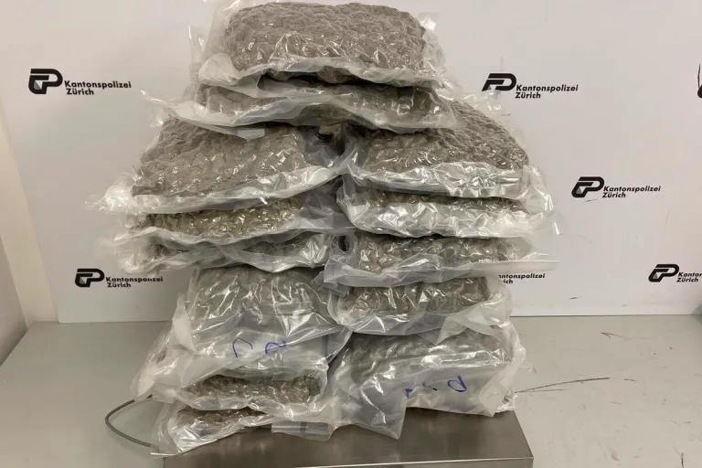 Flughafen Zürich - 14 kg Marihuana sichergestellt