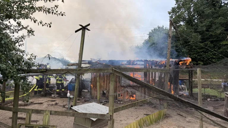 Nottensdorf – Gartenschuppen und Hühnerstall brennen nieder