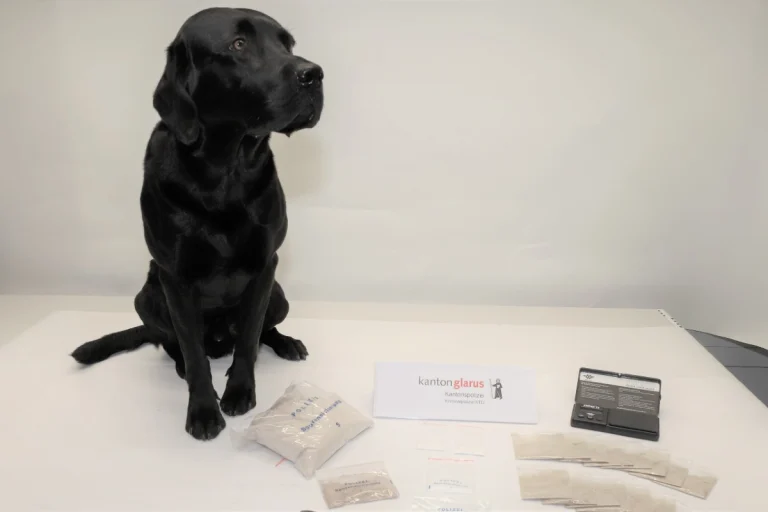 Niederurnen GL - Dank Polizeihund Flake zwei Drogendealer verhaftet
