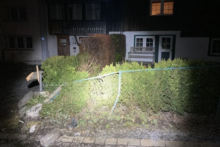 Engi GL - Fahrunfähig gegen eine Gartenmauer und einen Gartenzaun gefahren 