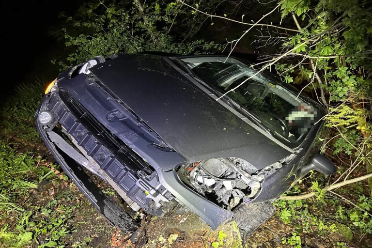 Auto kollidiert mit Baumstrunk in Gebertingen SG