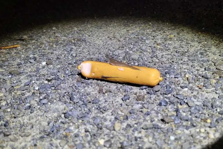 Lippstadt NW - Präparierte Wurst entdeckt