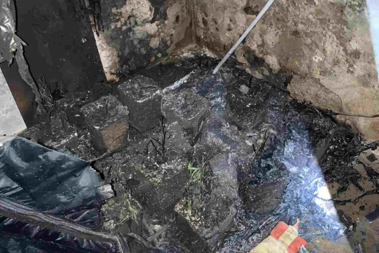 Seengen AG - Brand lässt Hanf-Indooranlage auffliegen!