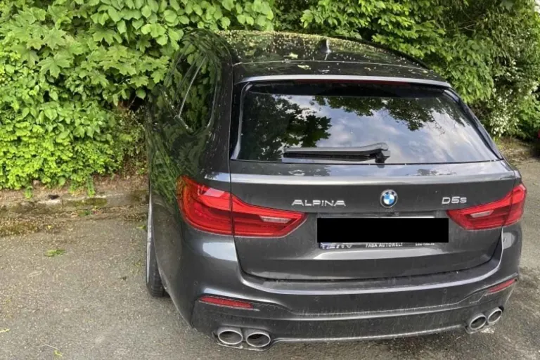 Kurioser Unfall in Großalmerode - 73-Jährige verwechselt Fahrstufen beim Automatikauto und landet gegen Baum