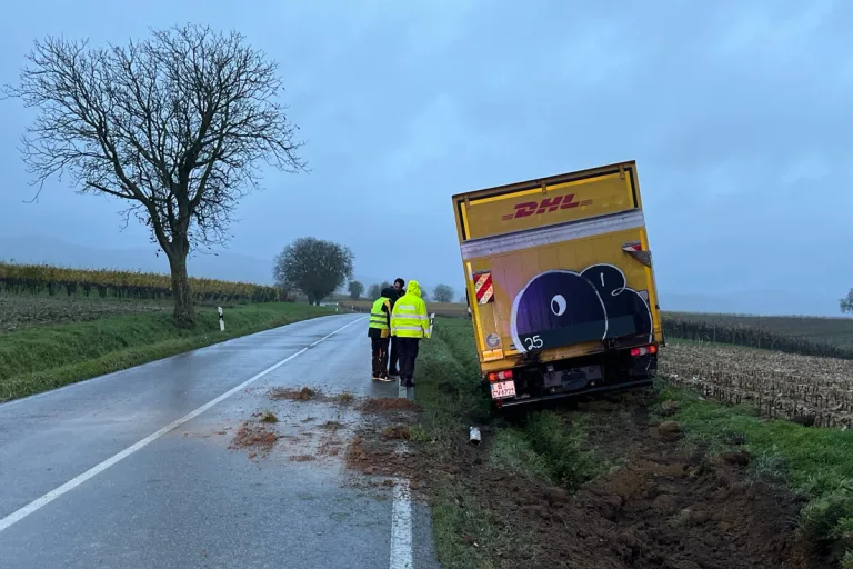 Bad Bergzabern RP – Lkw kommt bei Ausweichmanöver von der Straße ab
