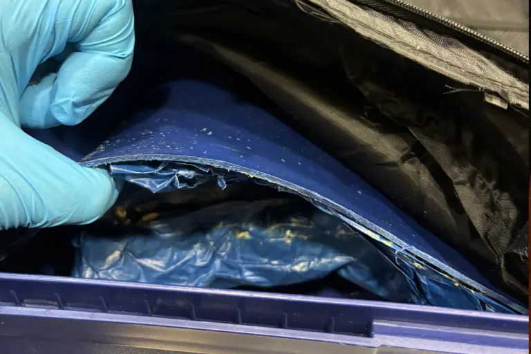 Hamburg HH – Zoll findet 5 Kilo Heroin bei Reisendem aus Südafrika