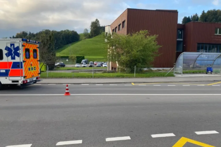 Neuheim ZG - 7-jähriges Kind von Lieferwagen angefahren und erheblich verletzt