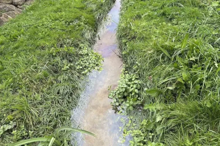 Domdidier FR – Bach mit Kohlenwasserstoff verschmutzt