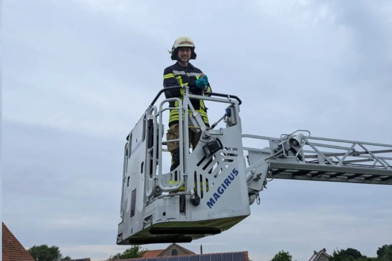 Lage-Heiden NRW – Feuerwehr rettet Turmfalkenküken