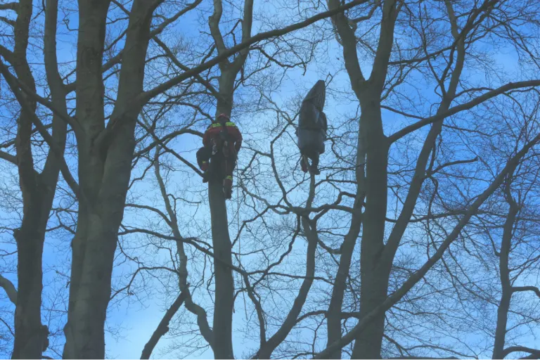 Dortmund - Höhenrettung - Abgestürzter Gleitschirmflieger hing in ca. 20m Höhe in einem Baum fest