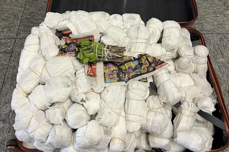 Flughafen Zürich - Drogenkurier verhaftet und 46 Kilogramm Khat sichergestellt