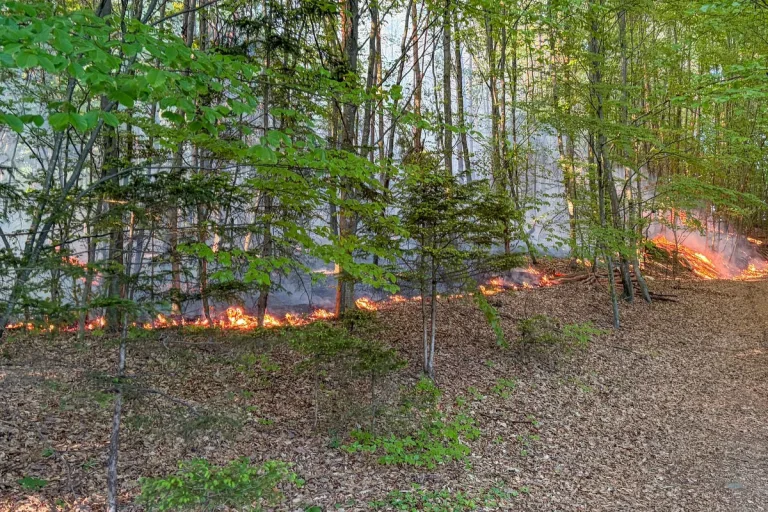 Unterlamm – Mehr als 100 Kräfte bekämpfen Waldbrand