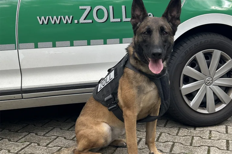 Kleve – Zollhündin Tessa findet 5 Kilo Kokain in Transporter