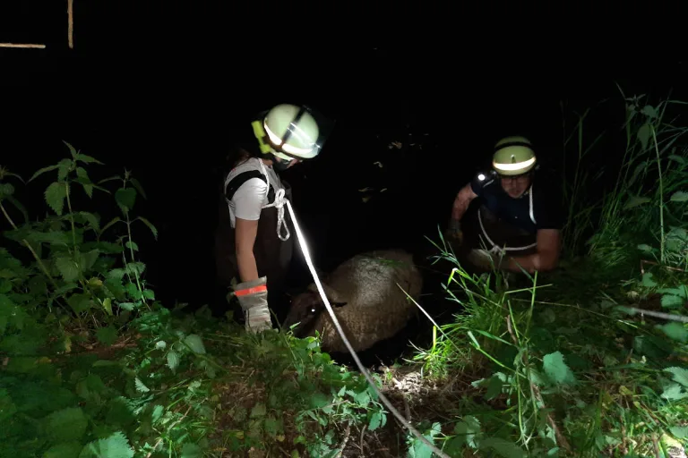 Lüchow-Dannenberg – Feuerwehr rettet Schaf aus Schlamm