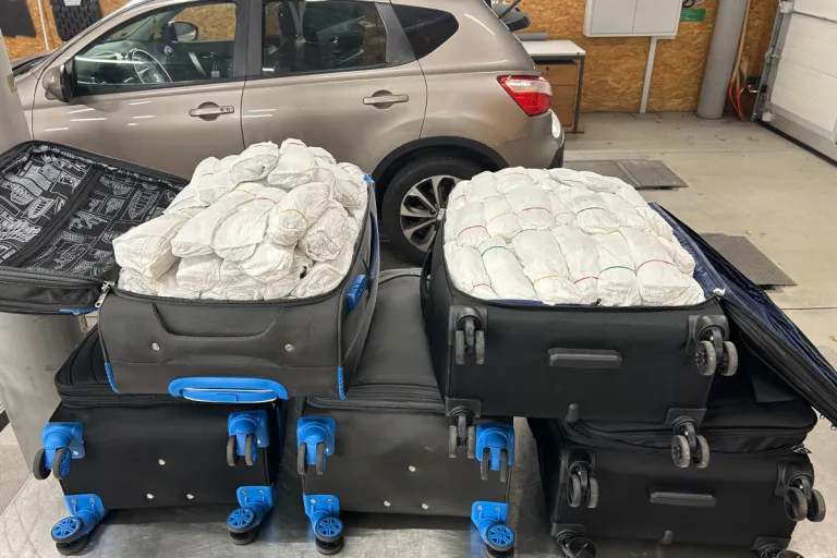 Simplon VS – Zoll stellt 125 kg Khat bei Fahrzeugkontrolle sicher