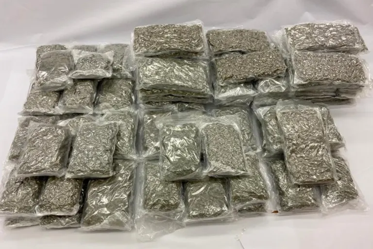 Brügg BE - Rund 110 Kilogramm Marihuana sichergestellt
