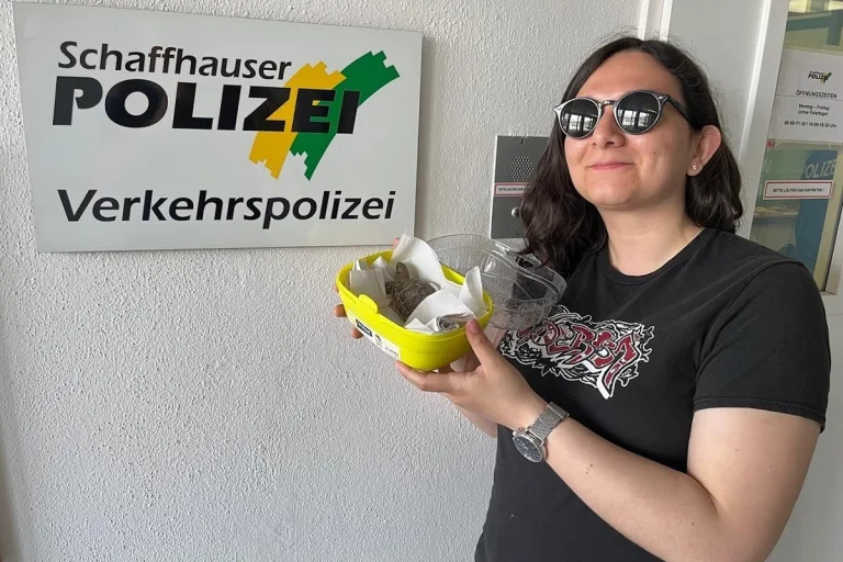 Schaffhausen – Schildkröte wieder mit Besitzerin vereint 