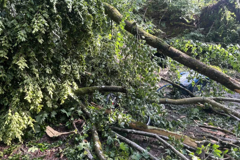 Gewitter im Kanton Aargau – Mädchen von Baumkrone getroffen und schwer verletzt