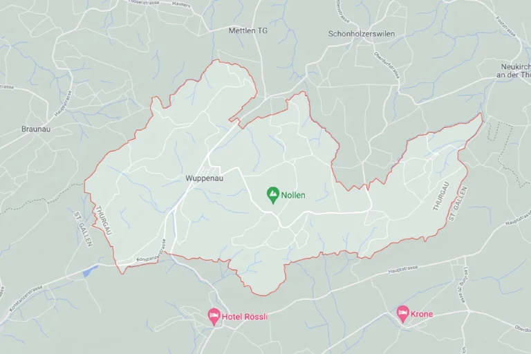 Wuppenau TG - Niemand bei Heckenbrand verletzt