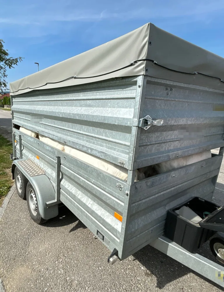 Melk NÖ – Fahrzeuglenker wegen Tierquälerei angezeigt  