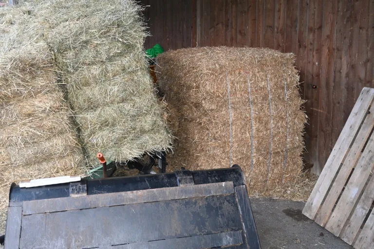 Triesenberg FL - Arbeitsunfall bei landwirtschaftlicher Arbeit