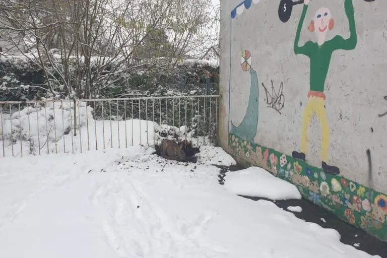 Lohmar – Aus Notlage befreit