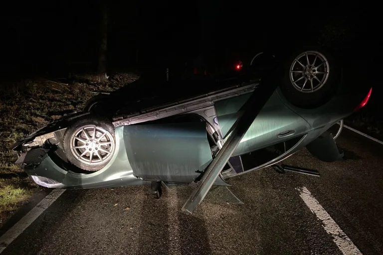 Schnottwil SO - Wildtier ausgewichen und mit einem Baum kollidiert