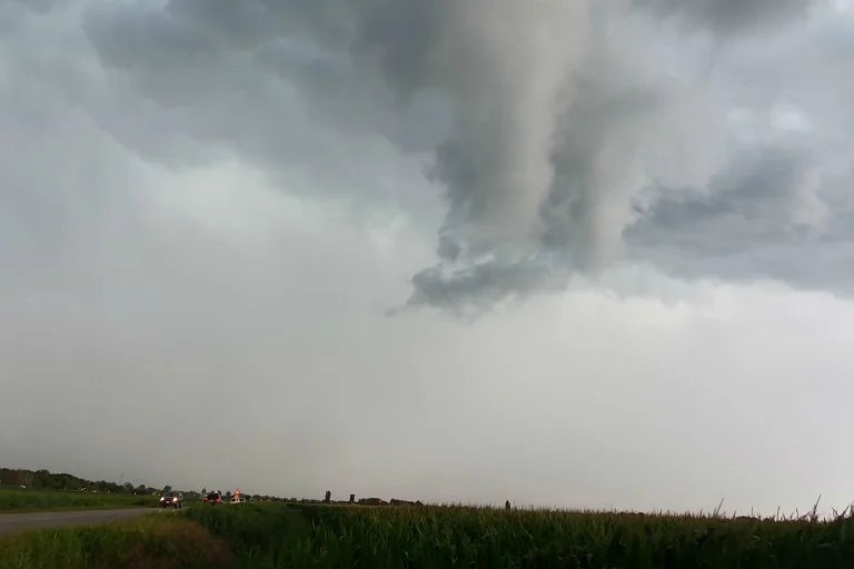 Bei Unwetter in Biel und im Seeland – Mann von Ast getroffen und schwer verletzt