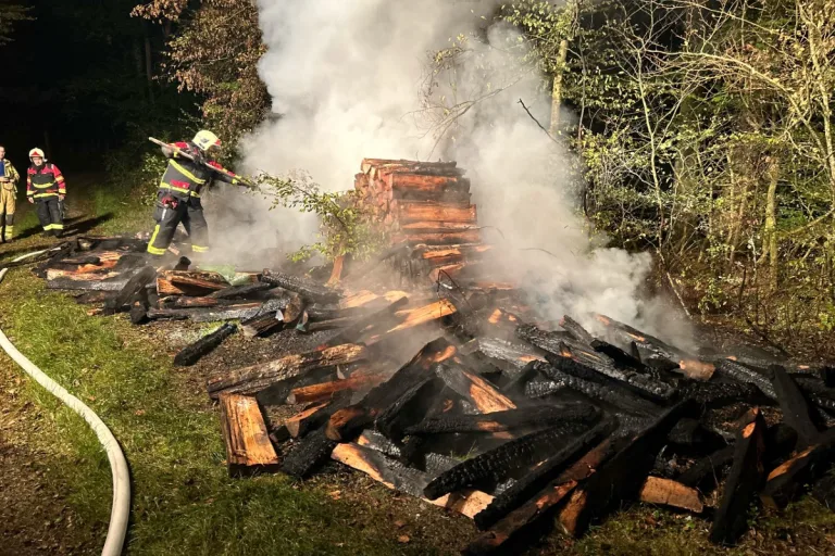 Zurzibiet AG - Brandserie nach Verhaftung gestoppt 