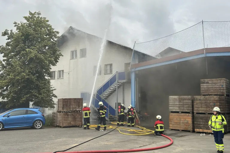 Merenschwand AG - Brandausbruch in einem Gewerbegebäude