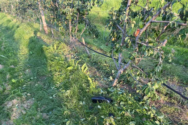Eschenz TG - Alkoholisierte Autofahrerin nach Unfall weitergefahren
