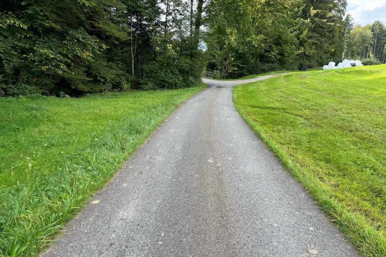 Uetliburg SG - Rega fliegt E-Bikerin nach Unfall ins Spital