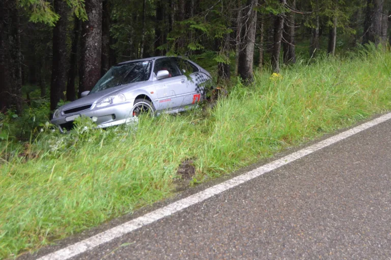 Schwägalp AR – Durch Aquaplaning im Wald gelandet