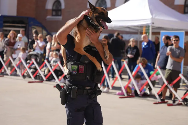 Tag der Wiener Polizei  – Einblicke in die Polizeidiensthundeeinheit