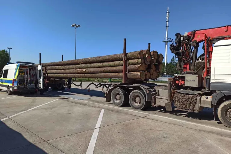 Schleifreisen – Holztransporter aus dem Verkehr gezogen