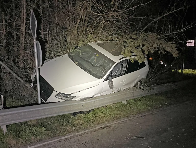 Frauenfeld TG – Alkoholisiert in Wildzaun und Leitplanke gekracht