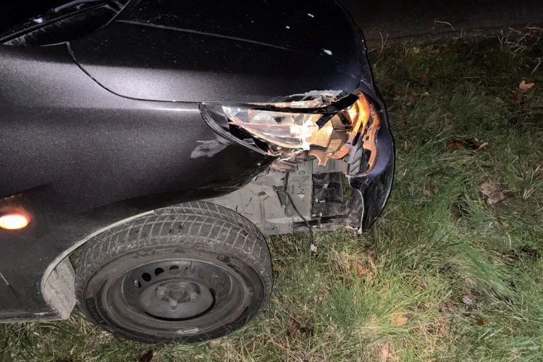 Thayngen SH – Führerflucht nach Unfall im Kreisverkehr