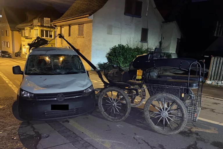 Thayngen SH – Kollision zwischen führerloser Kutsche, Personen- und Lieferwagen