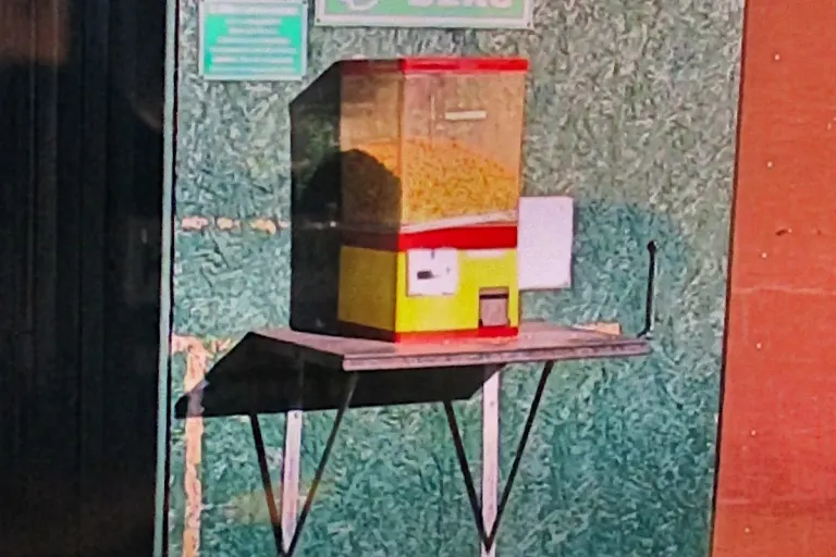 Bad-Münder - Ziegen Traurig - Futterautomat entwendet