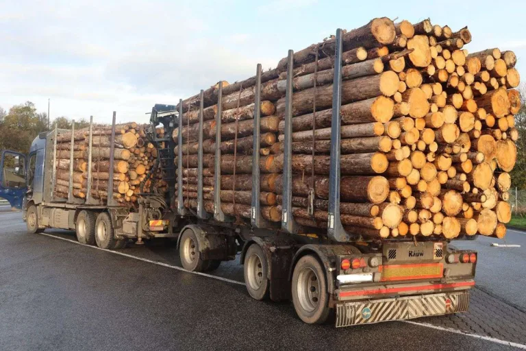 Trier RP – Polizei stoppt massiv überladene Holztransporte