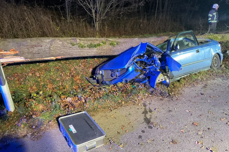Pöhla SN – Baum stürzt nach Unfall auf Fahrzeug
