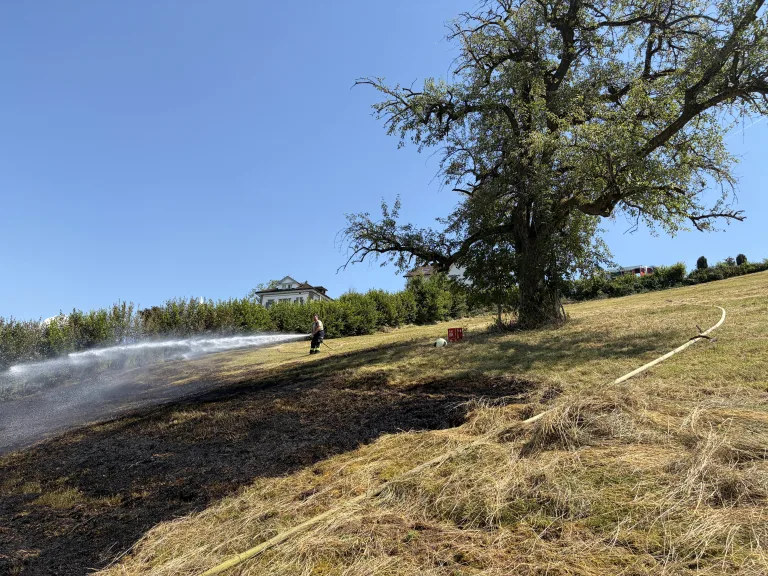Altendorf SZ – Flächenbrand beim Verbrennen von Ästen