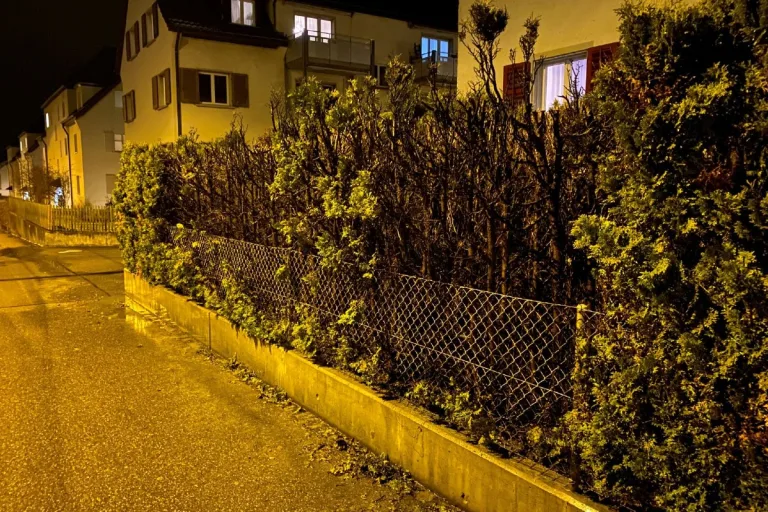 Stadt Schaffhausen - Zeugenaufruf zu Heckenbrand 