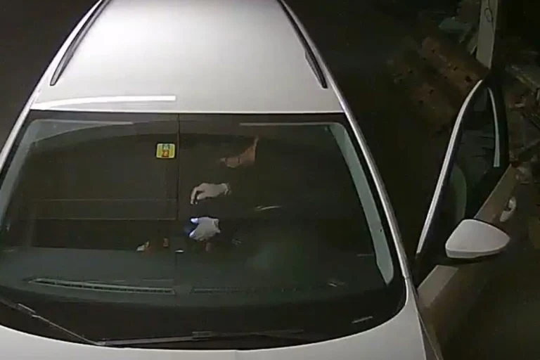 Aargau - Immer mehr Diebstähle aus parkierten Autos 