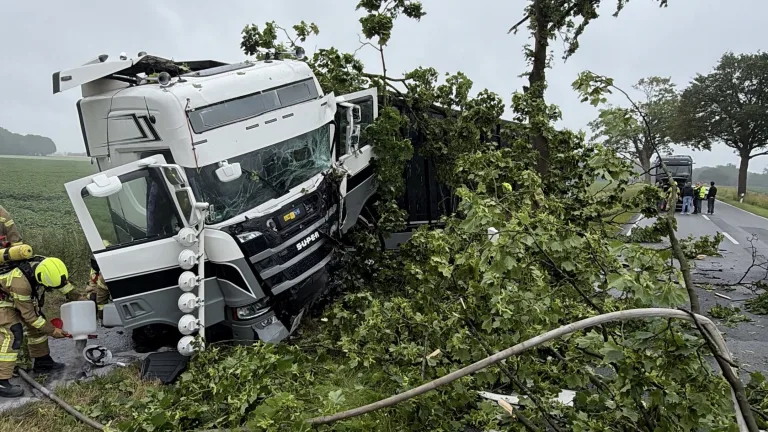 Wildeshausen – LKW prallt gegen Baum und fängt Feuer