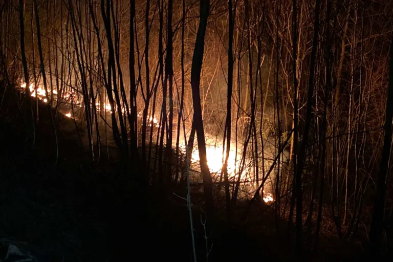 Oensingen SO – Zwei Feuerwehreinsätze wegen brennendem Waldboden