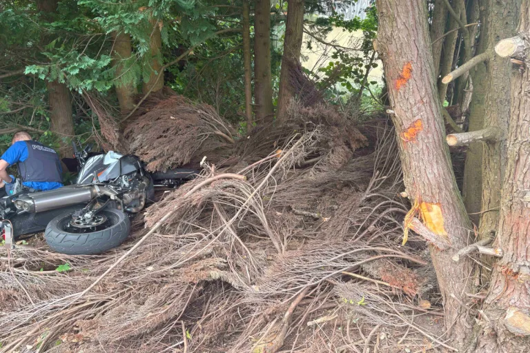 Eschenbach SG – Motorradfahrer prallt bei Unfall gegen Baum