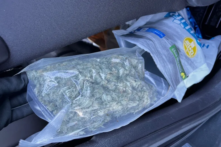 Rosenheim – Marihuana in Hundefutter versteckt