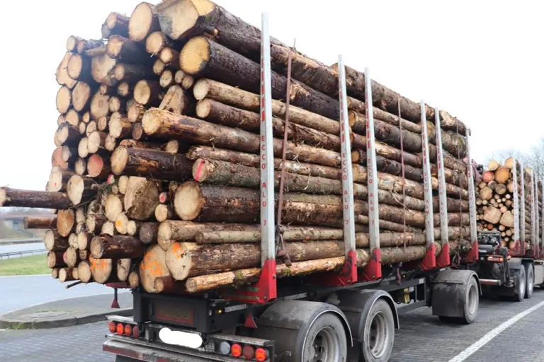 A60 Badem RP – Polizei stoppt massiv überladenen Holztransport