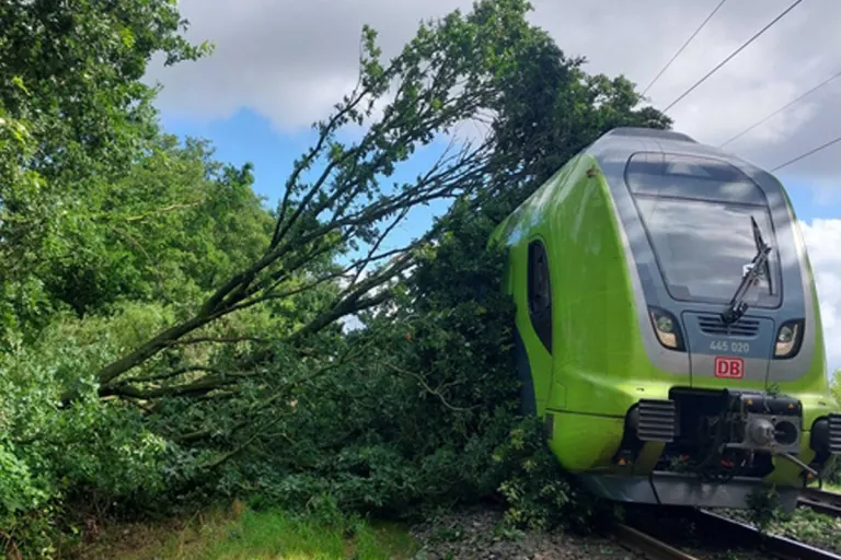 Wrist SH – Regionalzug kollidiert mit Baum auf Oberleitung